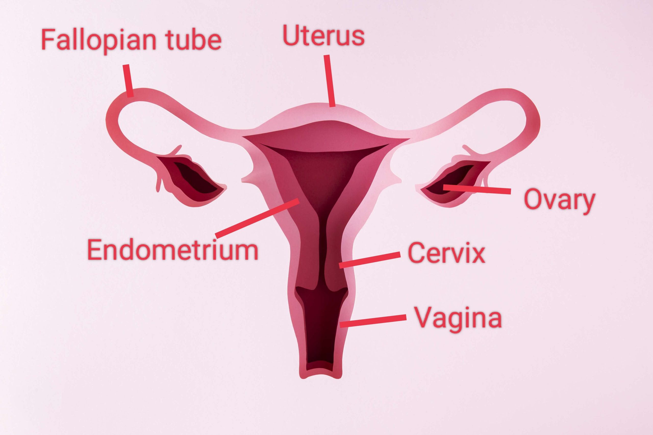 Cervical Cancer